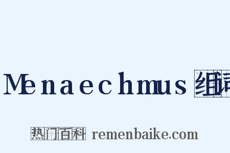 Menaechmus组词是什么意思的图片
